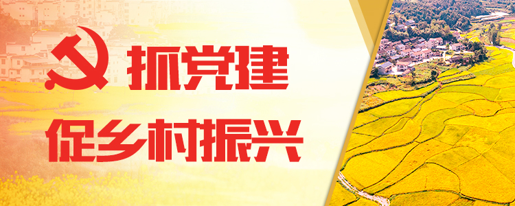 抓黨建促鄉村振興