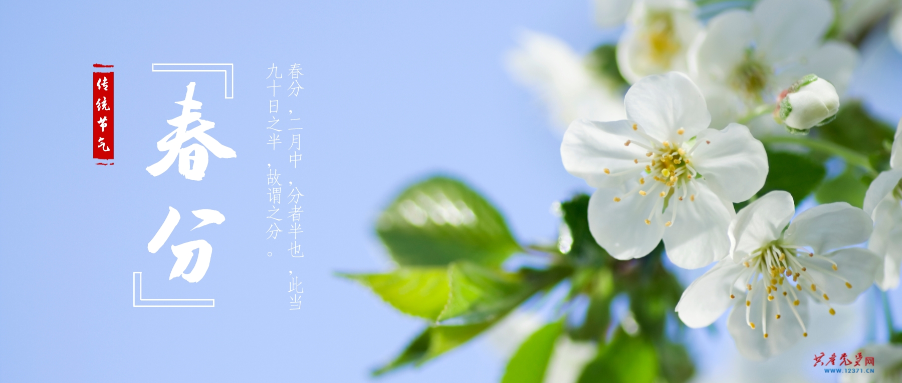 春分：柳岸斜風(fēng)帶客歸   https://www.12371.cn/2023/03/20/ARTI1679302191578923.shtml