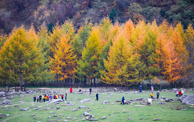 2023年10月27日，深秋時(shí)節(jié)的陜西秦嶺太子嶺漫山紅黃、色彩交織，進(jìn)入最佳觀賞期。